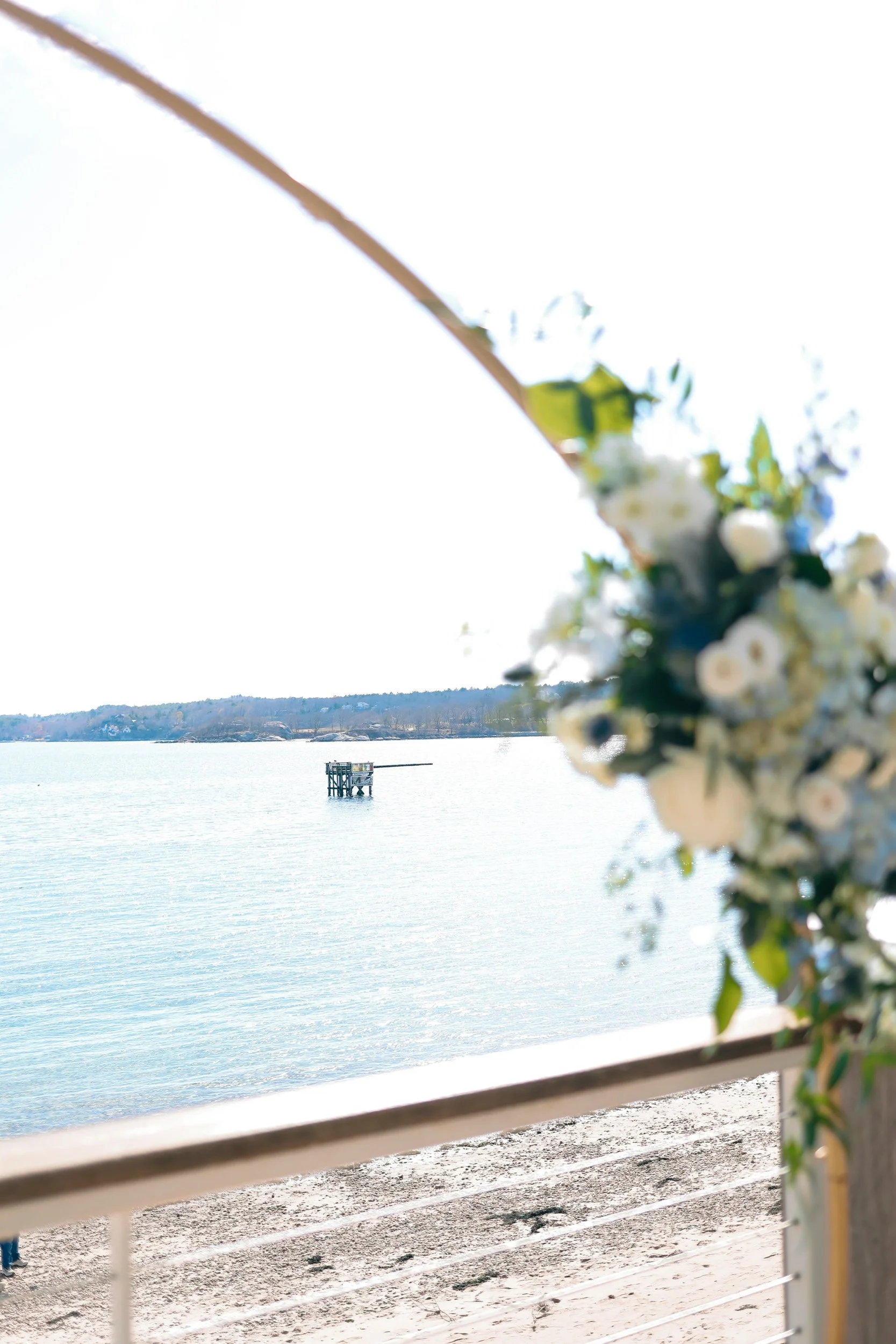 RWP_3757.jpg