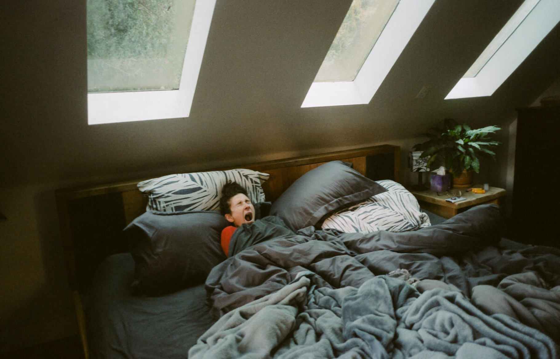 Film_Fu_Aptos_26031276_0592.png