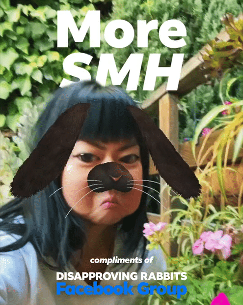 AR Filter Disapproving Rabbits-high.gif