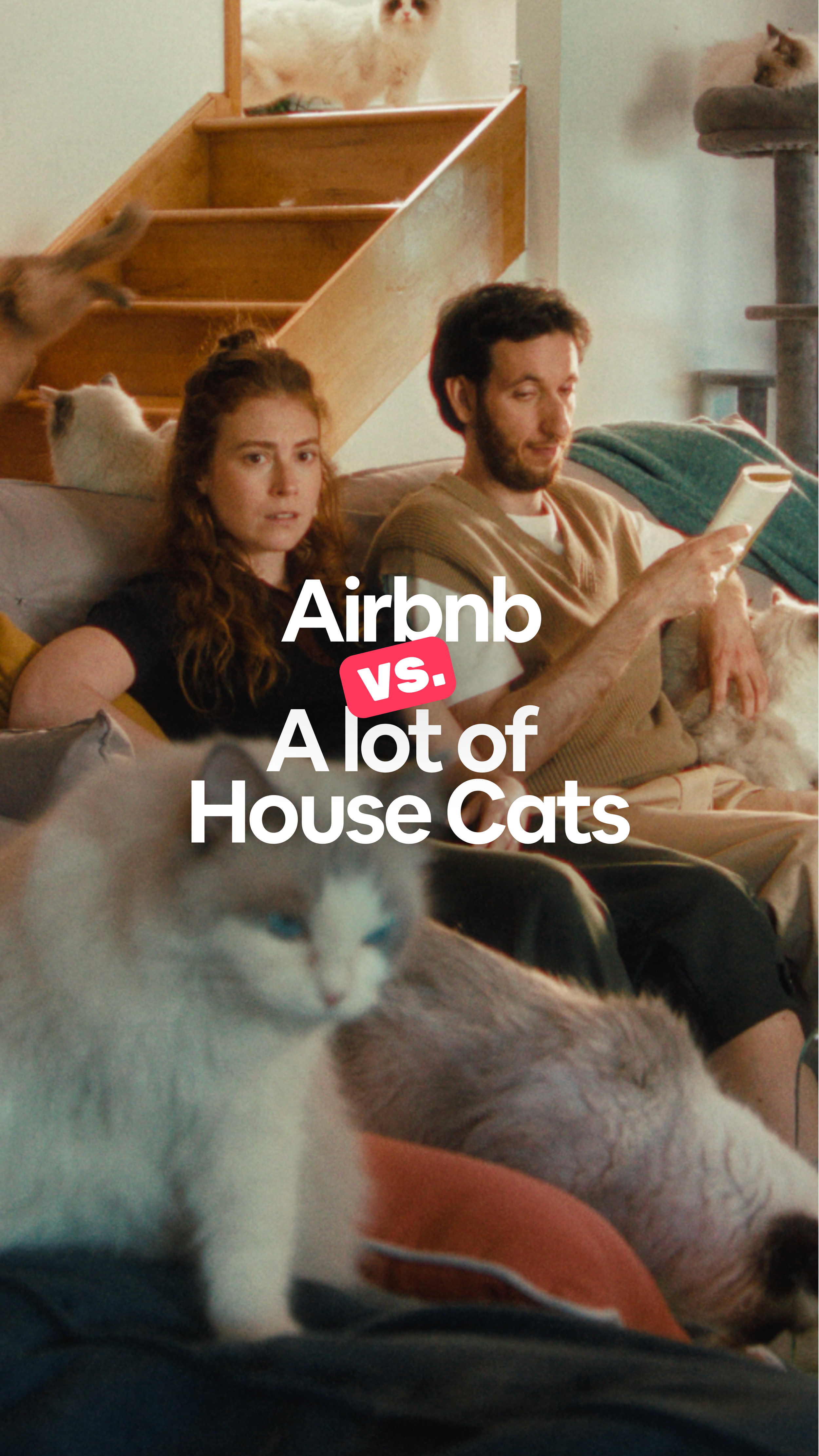 Cats_9x16.png