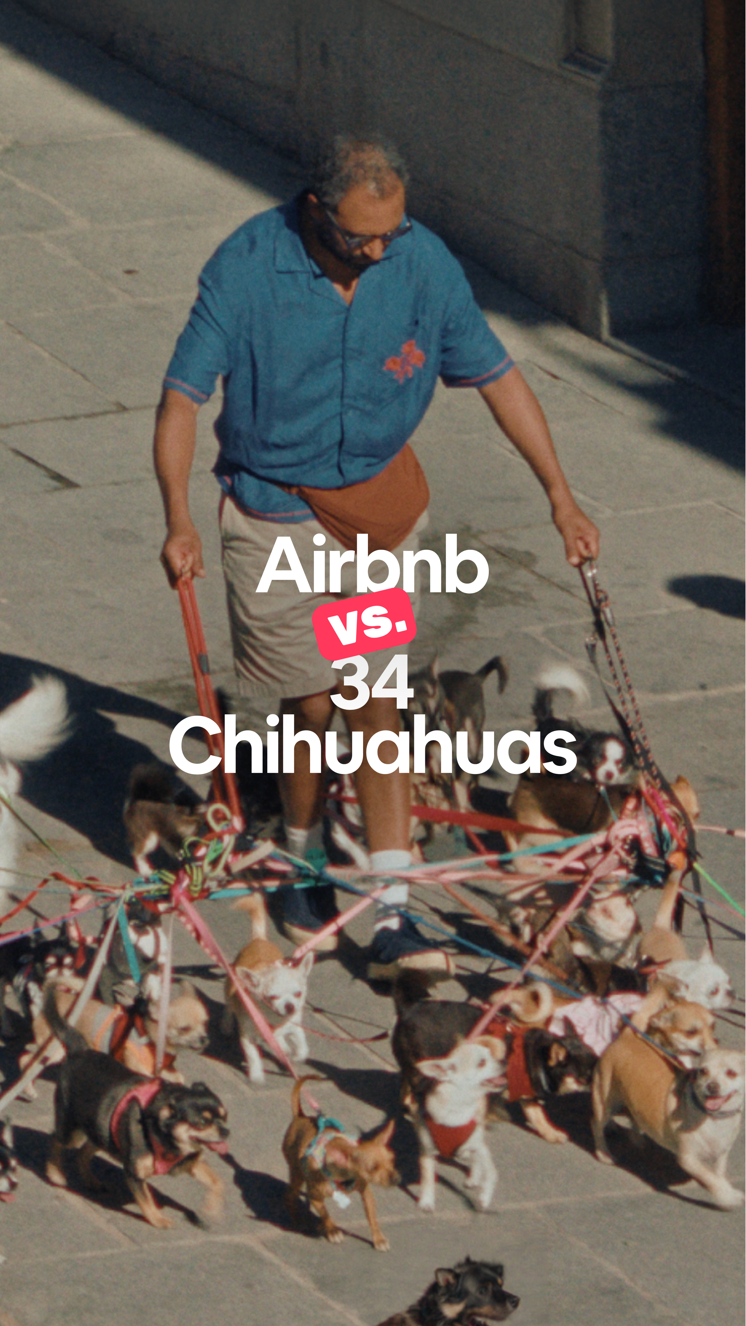 Chihuahuas_9x16.png