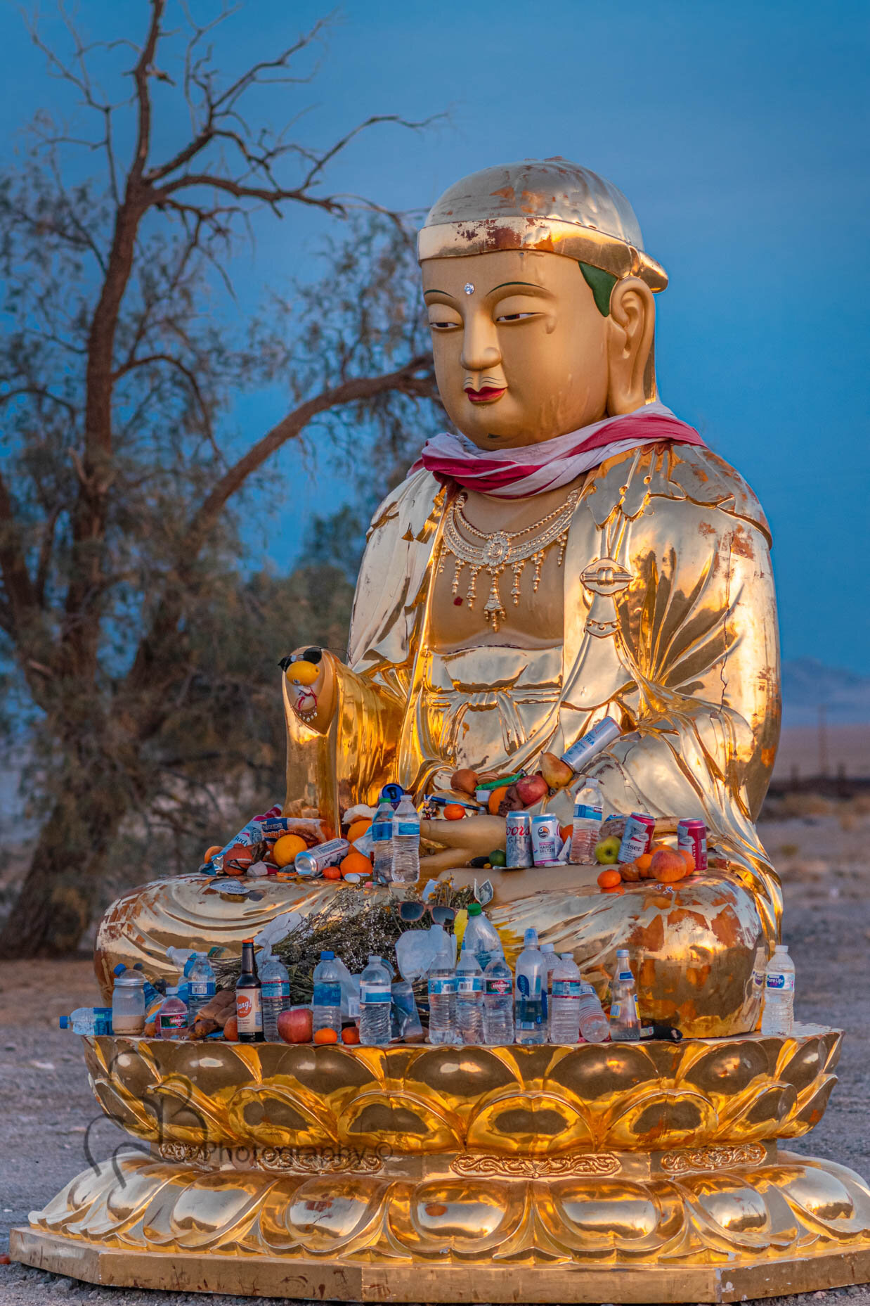 Amboy Buddha 