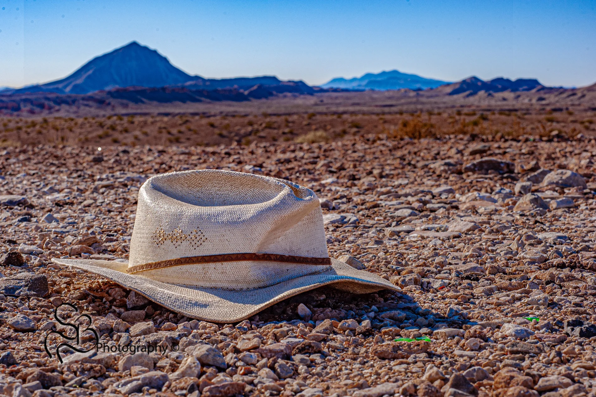 Lost in the desert. ©2013 Shannon Beelman 