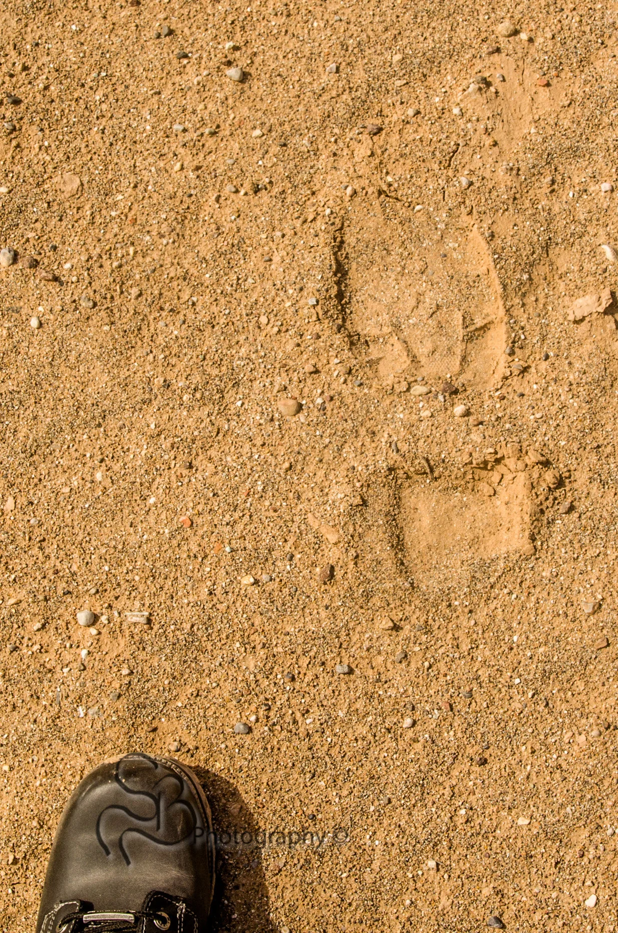 Documenting - Lake Mead - Echo Bay