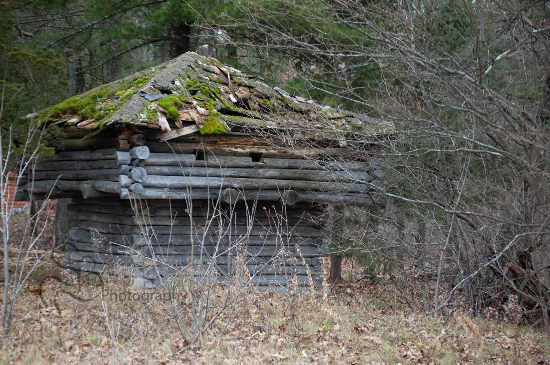 Documenting - American Wasteland - Buildings