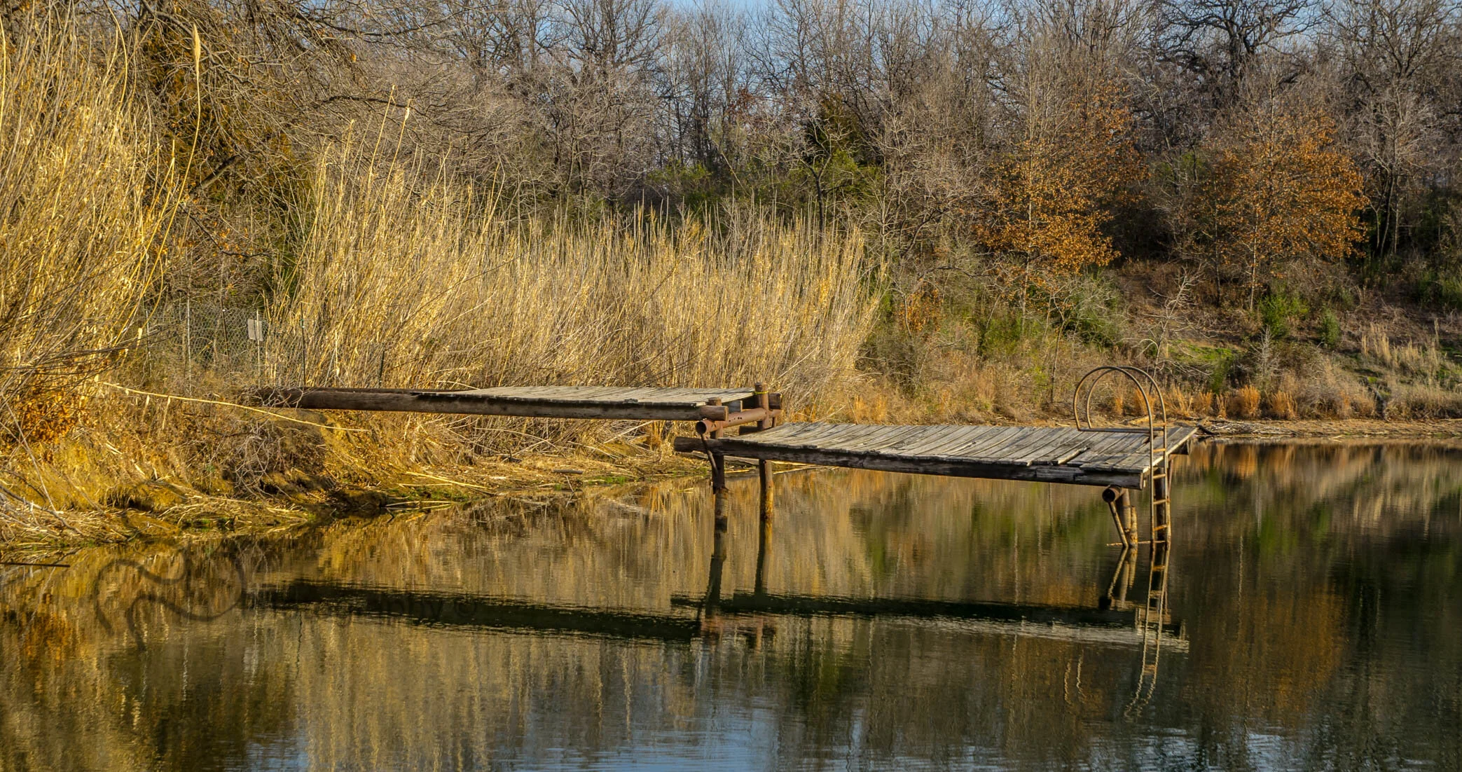 Documenting - Route 66 - Blue Whale