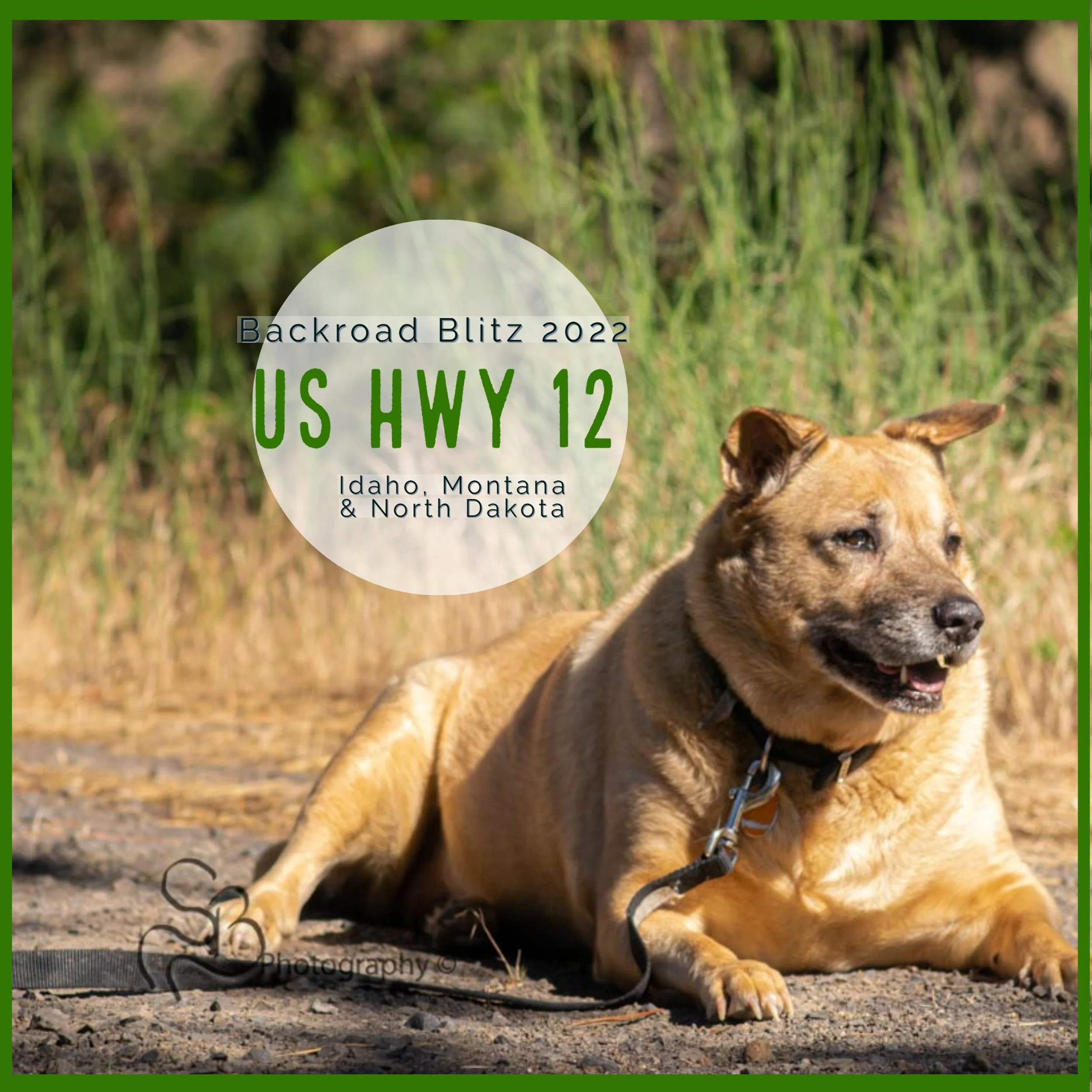 Documenting - Backroad Blitz - Idaho/Montana