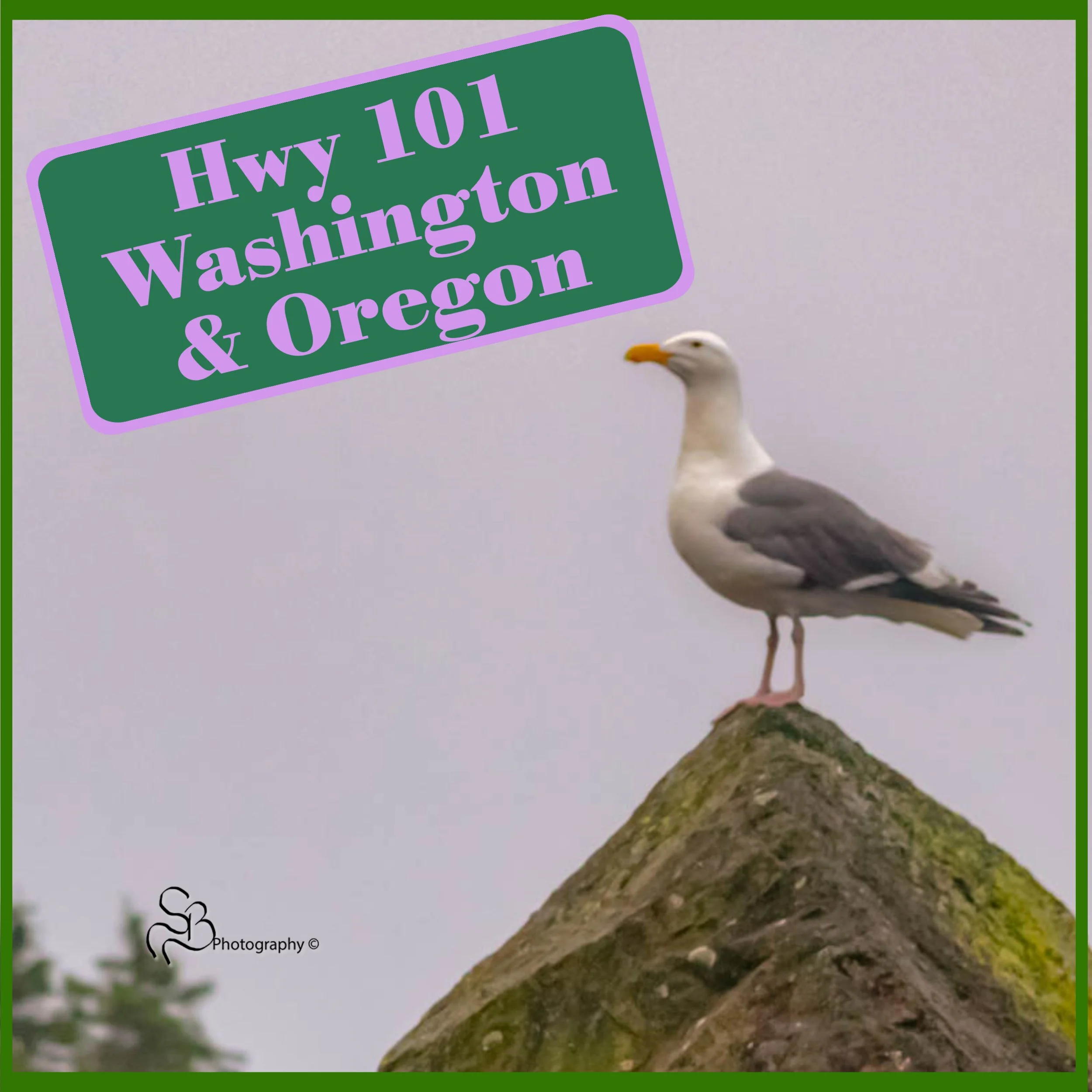 Documenting Backroads Blitz - Oregon &amp; Washington