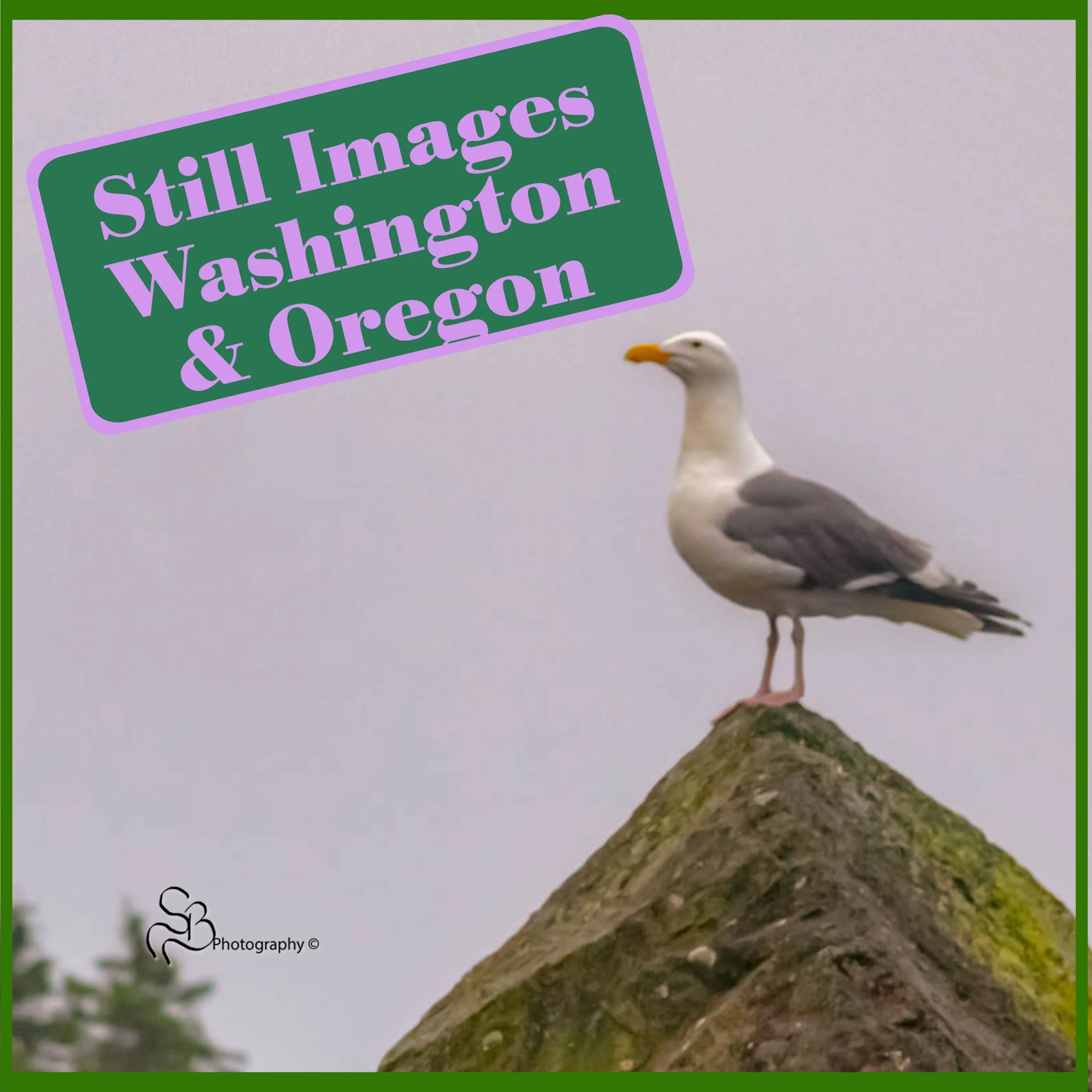 Documenting - Backroad Blitz - Oregon &amp; Washington - Short Video