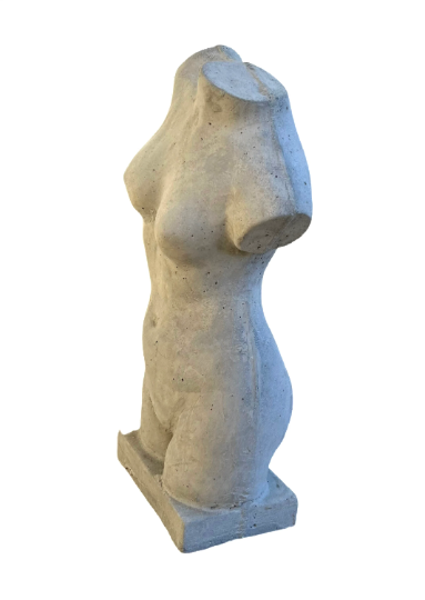 torso.png