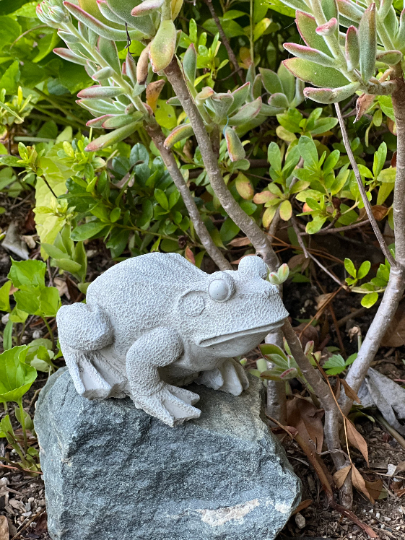 Concrete Frog Garden Decor Statue
