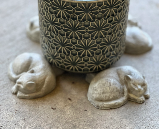 sleeping cat pot feet4.png