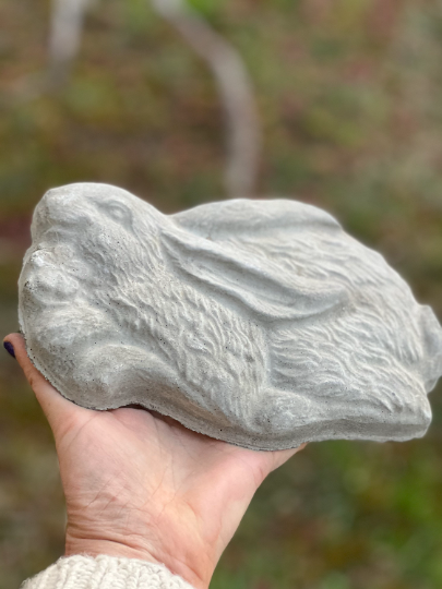 Realistic Turtle Concrete Stepping Stone | Backyard Stone Art
