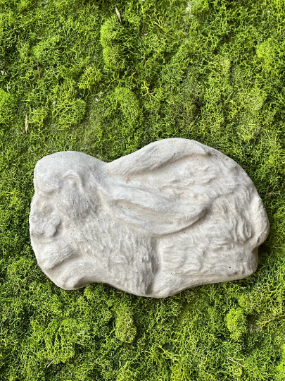 Realistic Turtle Concrete Stepping Stone | Backyard Stone Art