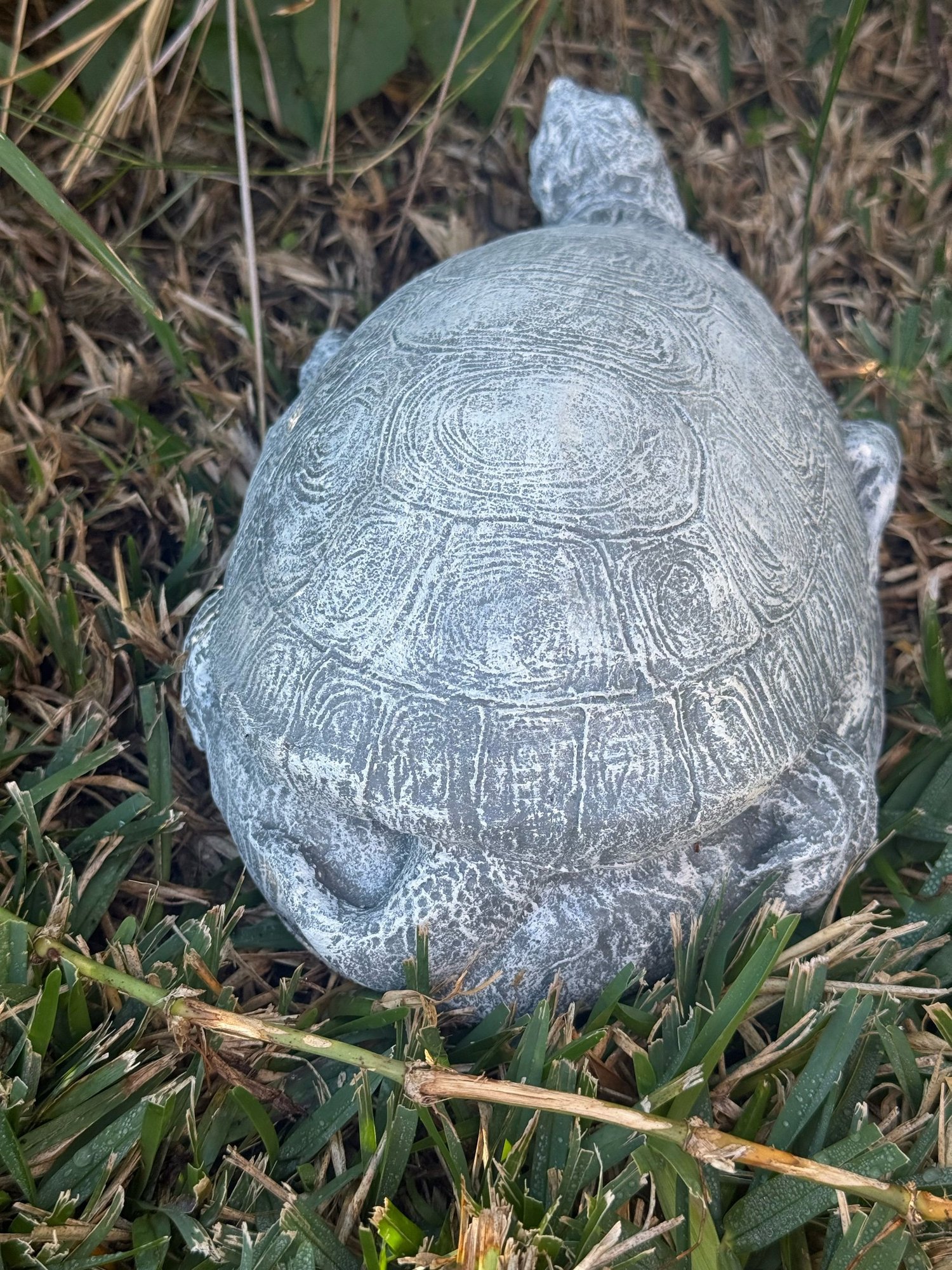 Concrete Snapping Turtle Statue | Backyard Stone Art