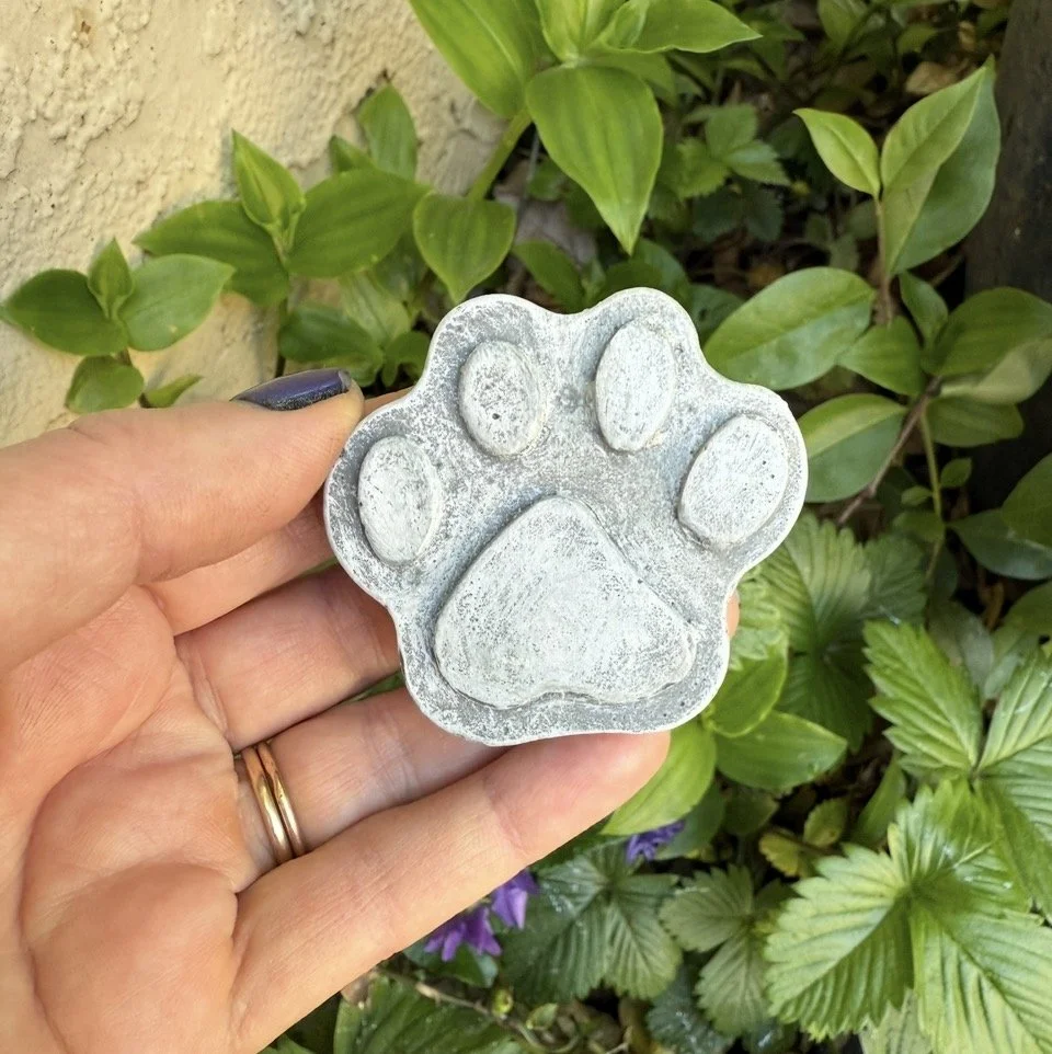 Concrete Dog/Cat Mini Pawprints