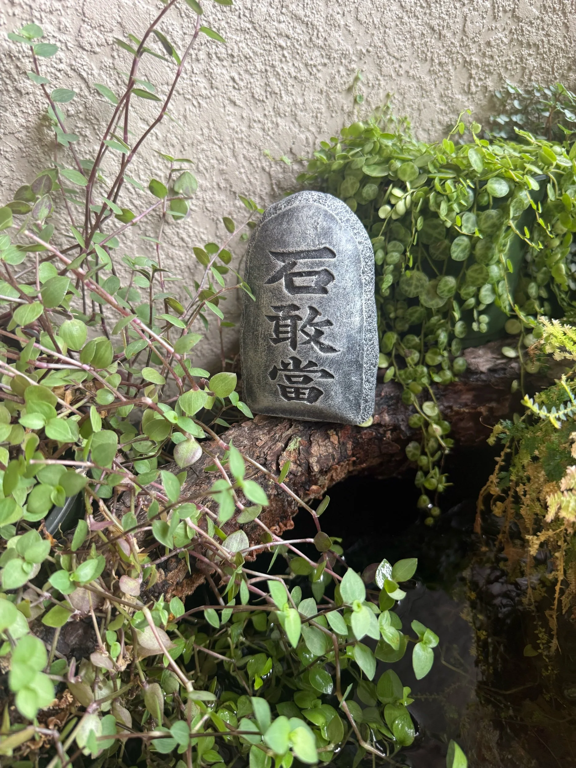 DD0FB97D-CF80-494C-9DBB-FCED90AA63FF.jpeg