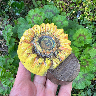 sunflower color pot feet.png