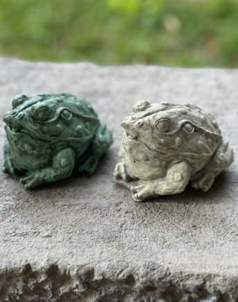 fairefrog3.png