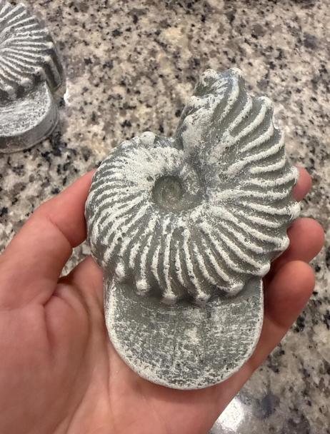 NAUTILUS5.png