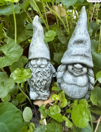 two gnomes3.png