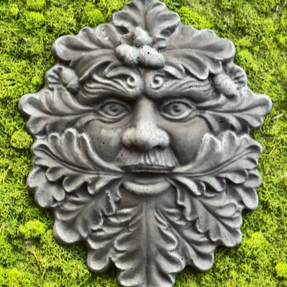 acorn+face3.png