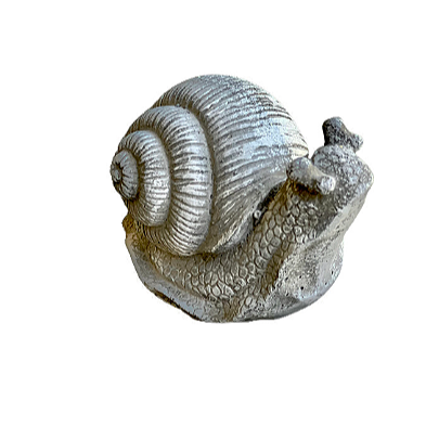 snail1.png