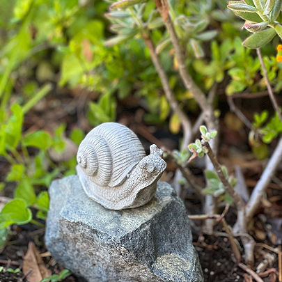 snail7.png