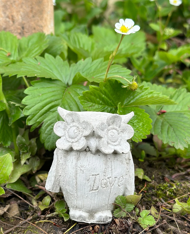 mini owl love1.png