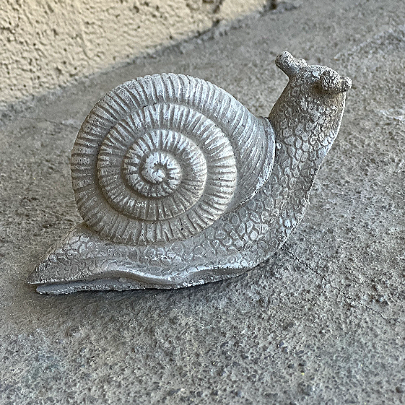 snail3.png
