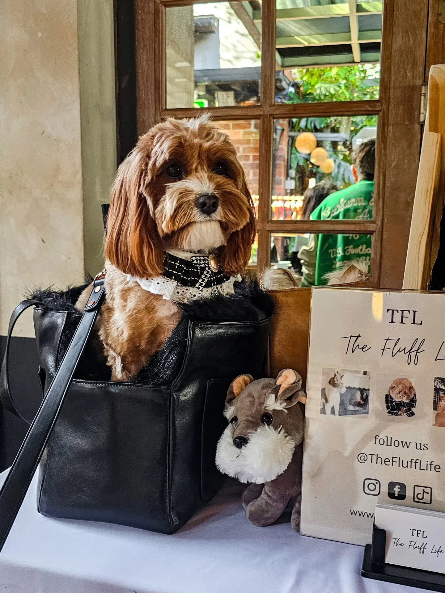 Still buzzing from such a paw-some day at the Pound Paws Dog Day event 🩵🐾 
Thank you to everyone who stopped by our stall ❤️ We loved meeting you and your pups 🐶🫶 

📍@poundpaws @goldensheaf