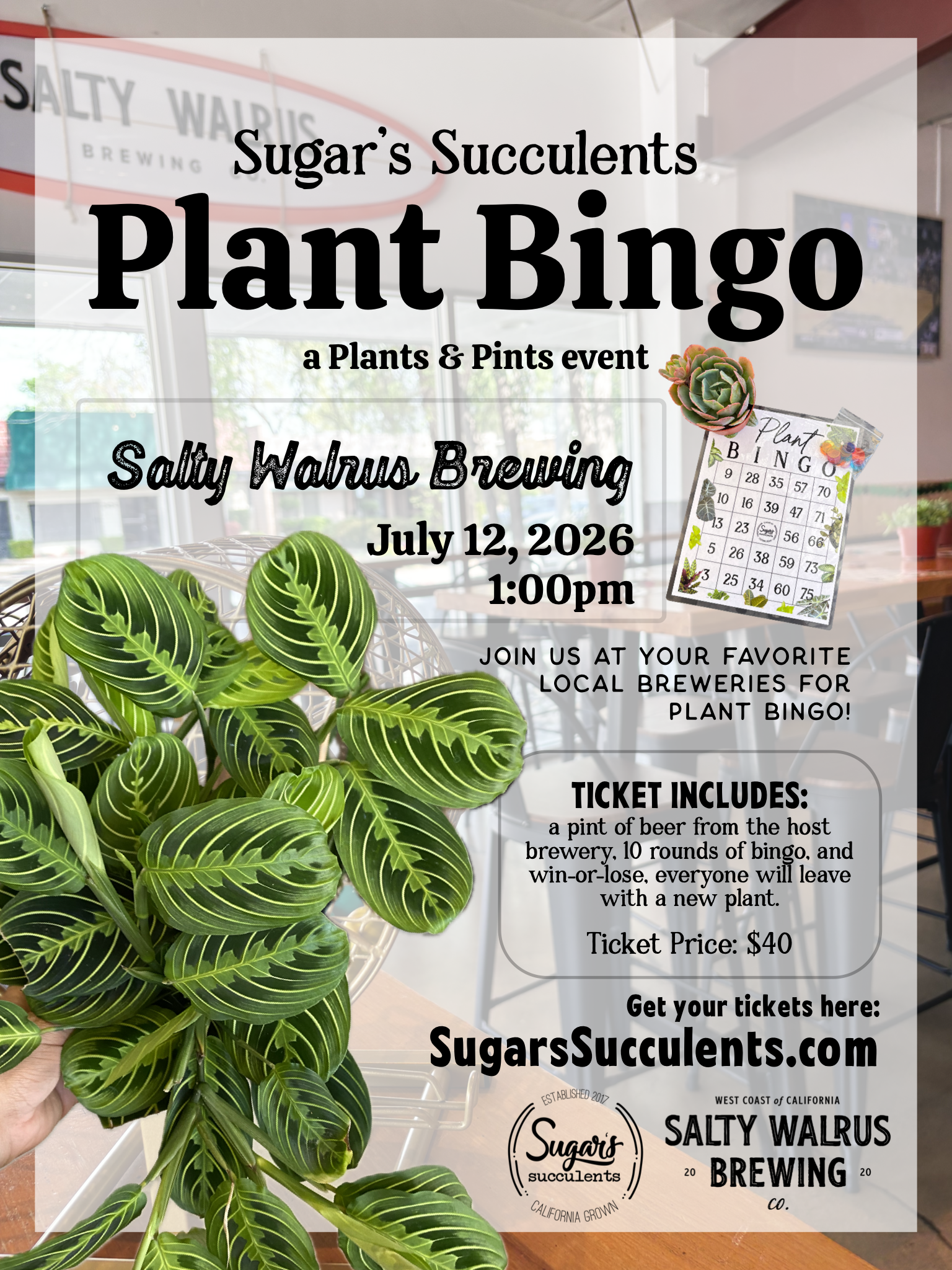 7/12 - Plant Bingo (Salty Walrus Brewing, Visalia)