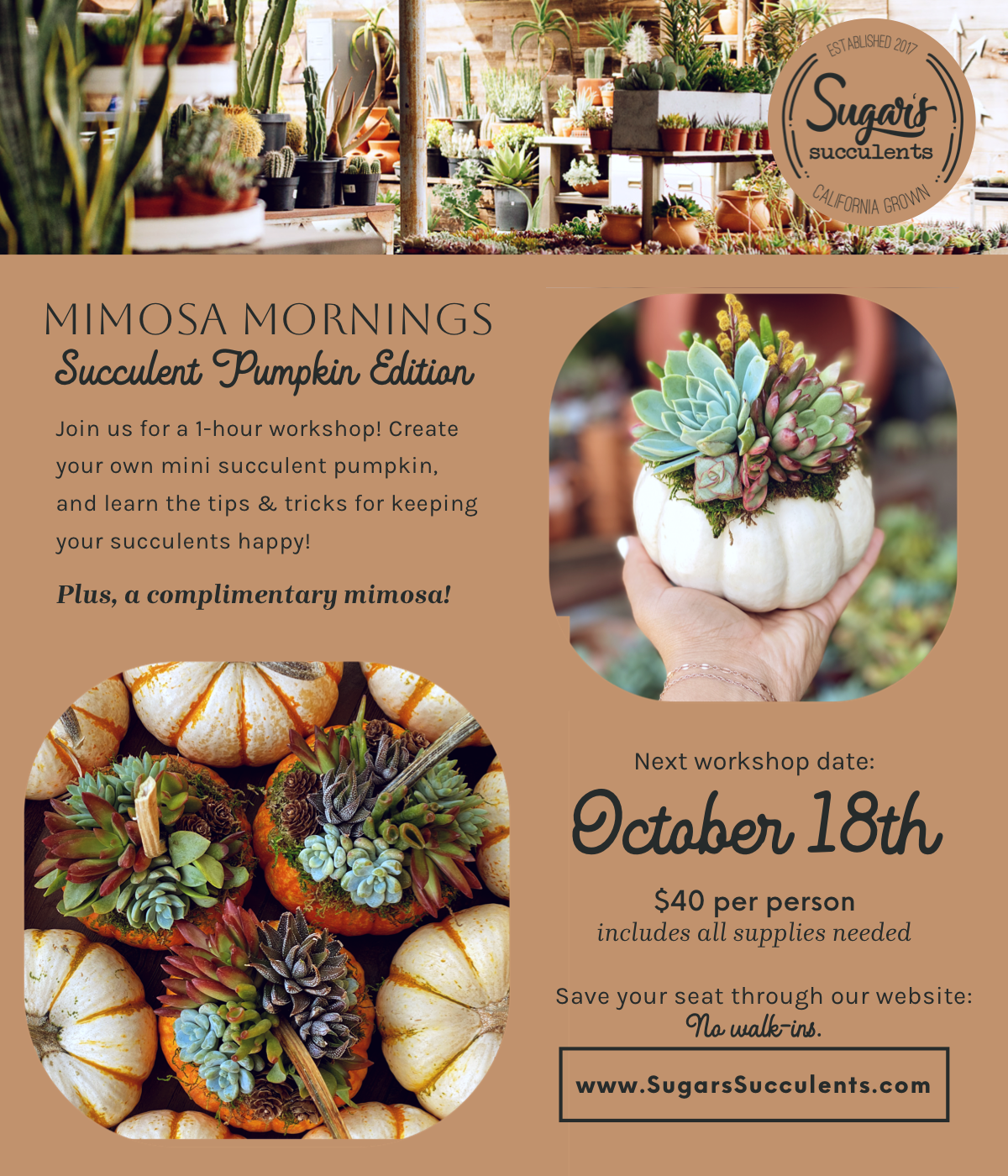 October 18 | Mimosas Mornings - Succulent Pumpkin Edition