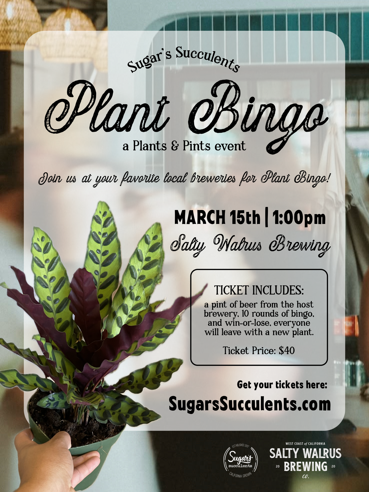 3/15 - Plant Bingo (Salty Walrus Brewing)
