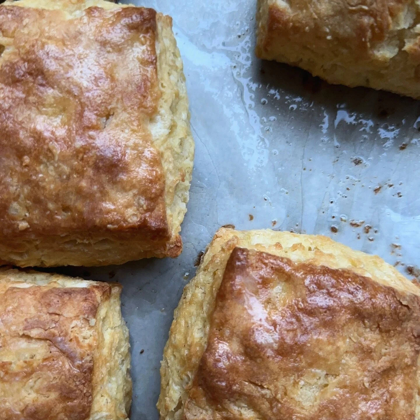 B I S C U I T S.  such a  perfect way to head into the weekend. watch for more WEEKENDER items on Monday Menus

happy friday everyone. happy NEW YEAR! It feels like it&rsquo;s been forever since I&rsquo;ve done a regular FRIDAY bake day. Glad to be b