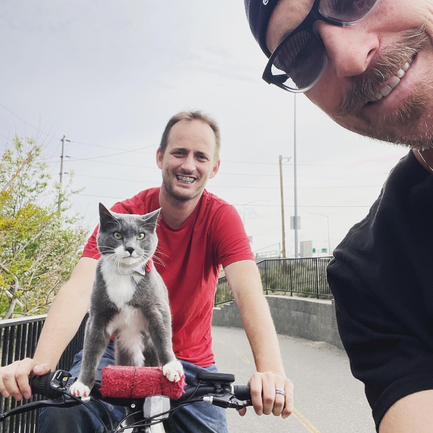 Thor - the coolest cat I&rsquo;ve ever met! #cats #ebike