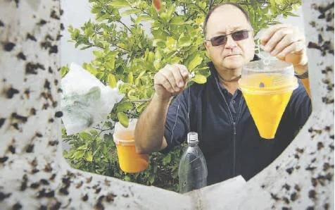 Be on guard, fruit growers told