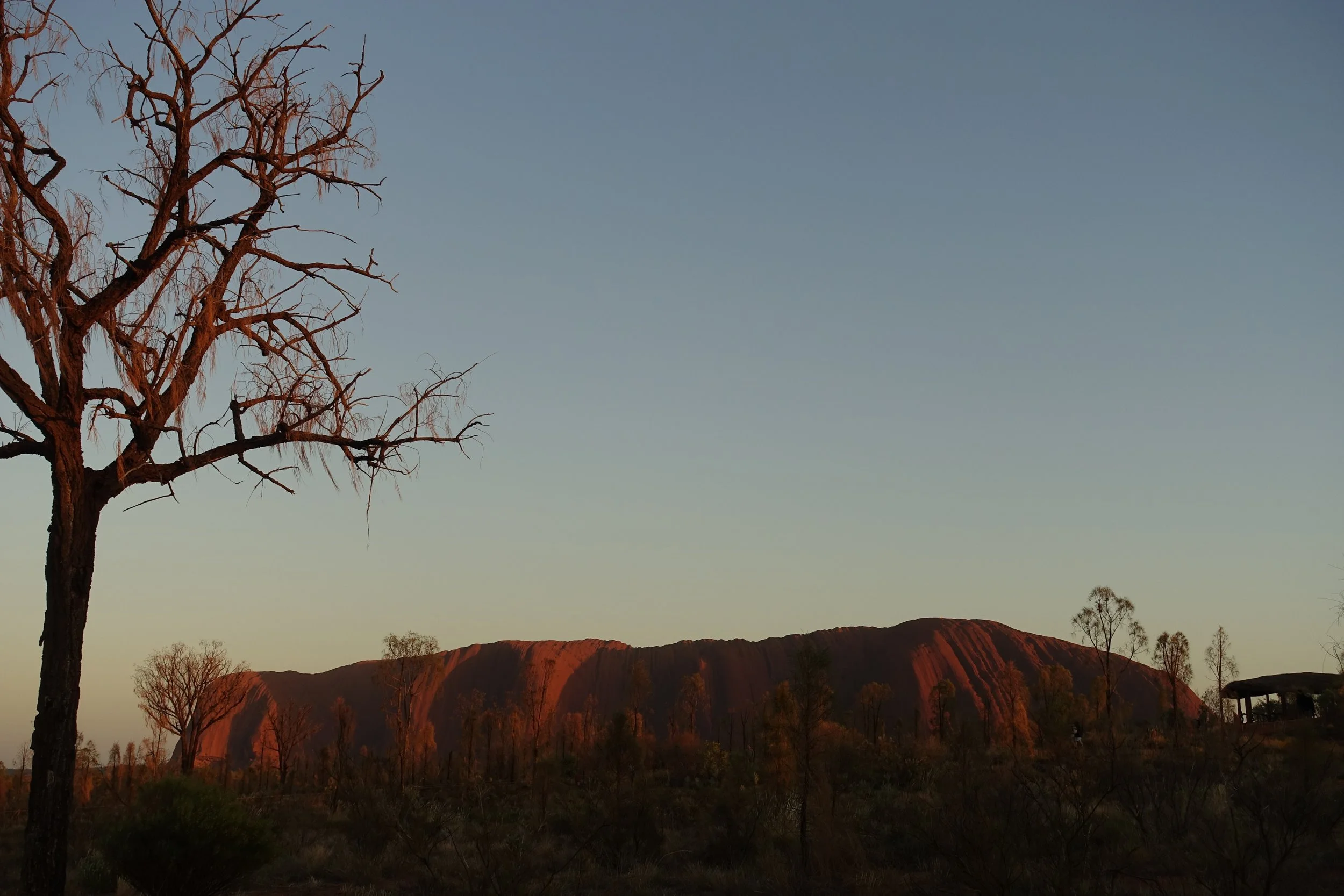  Uluru at dawn 