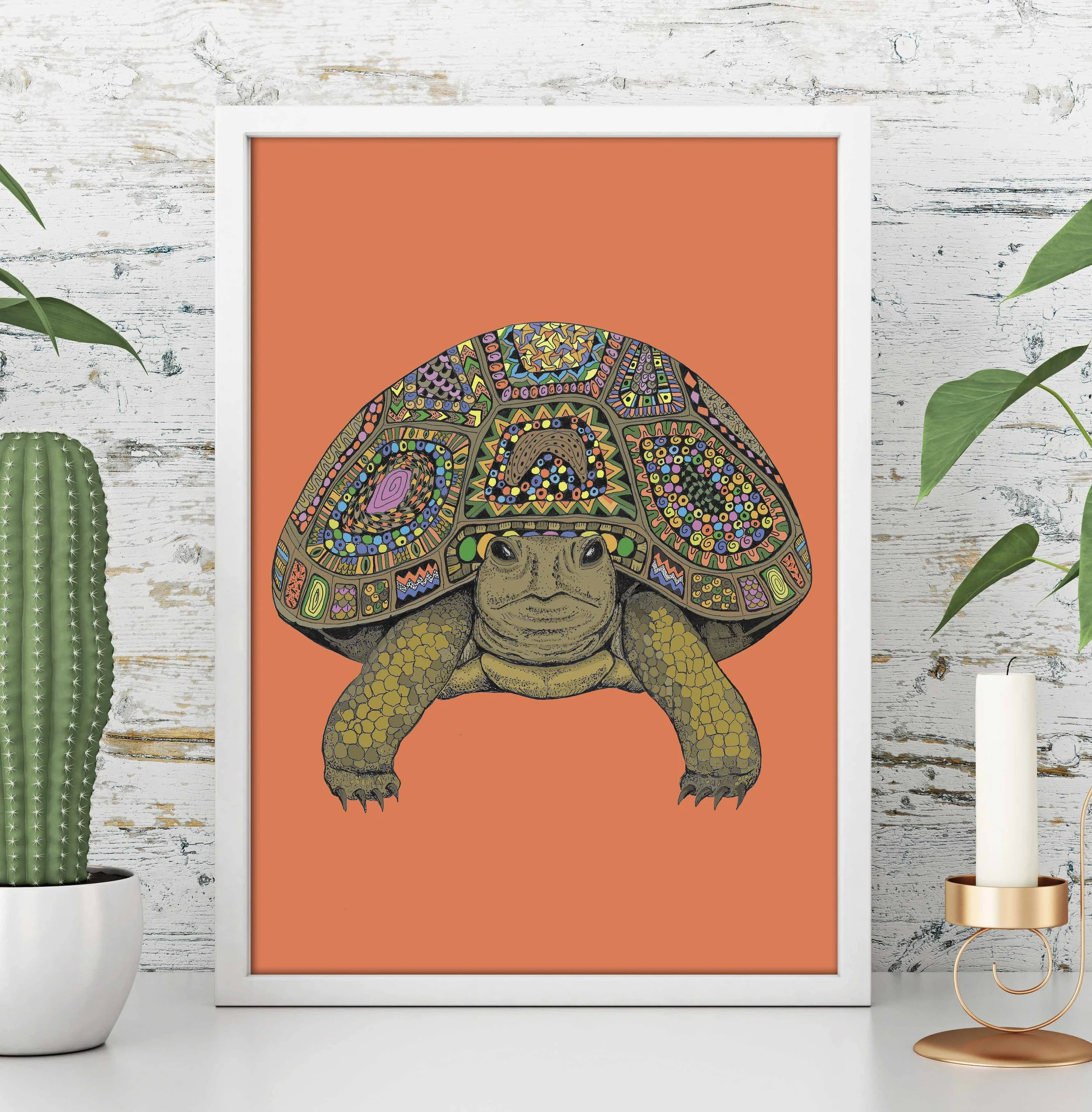 Tortoise.jpg