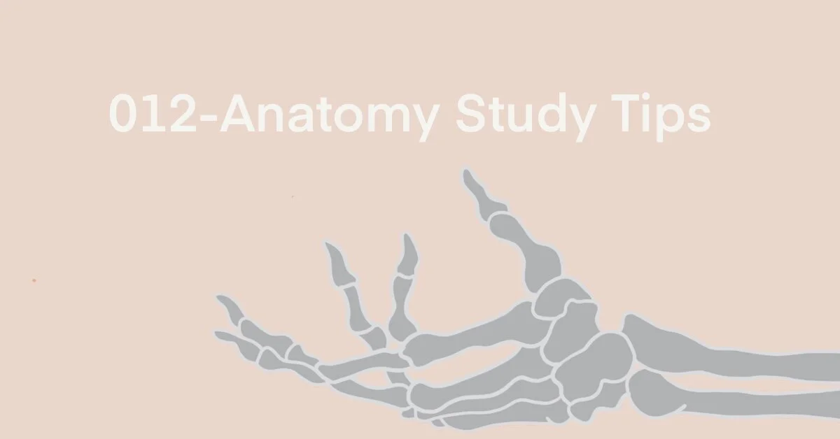 012 - Anatomy study tips 