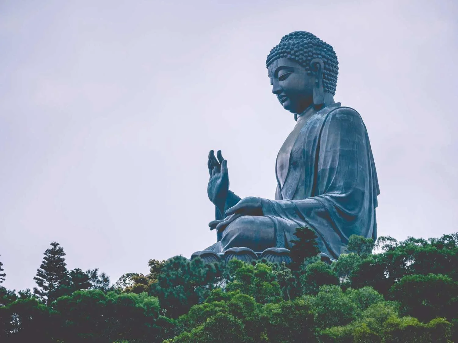 Tian Tan Buddha on Lantau Island, a symbol of compassion and service in Dr. Ryan's practice