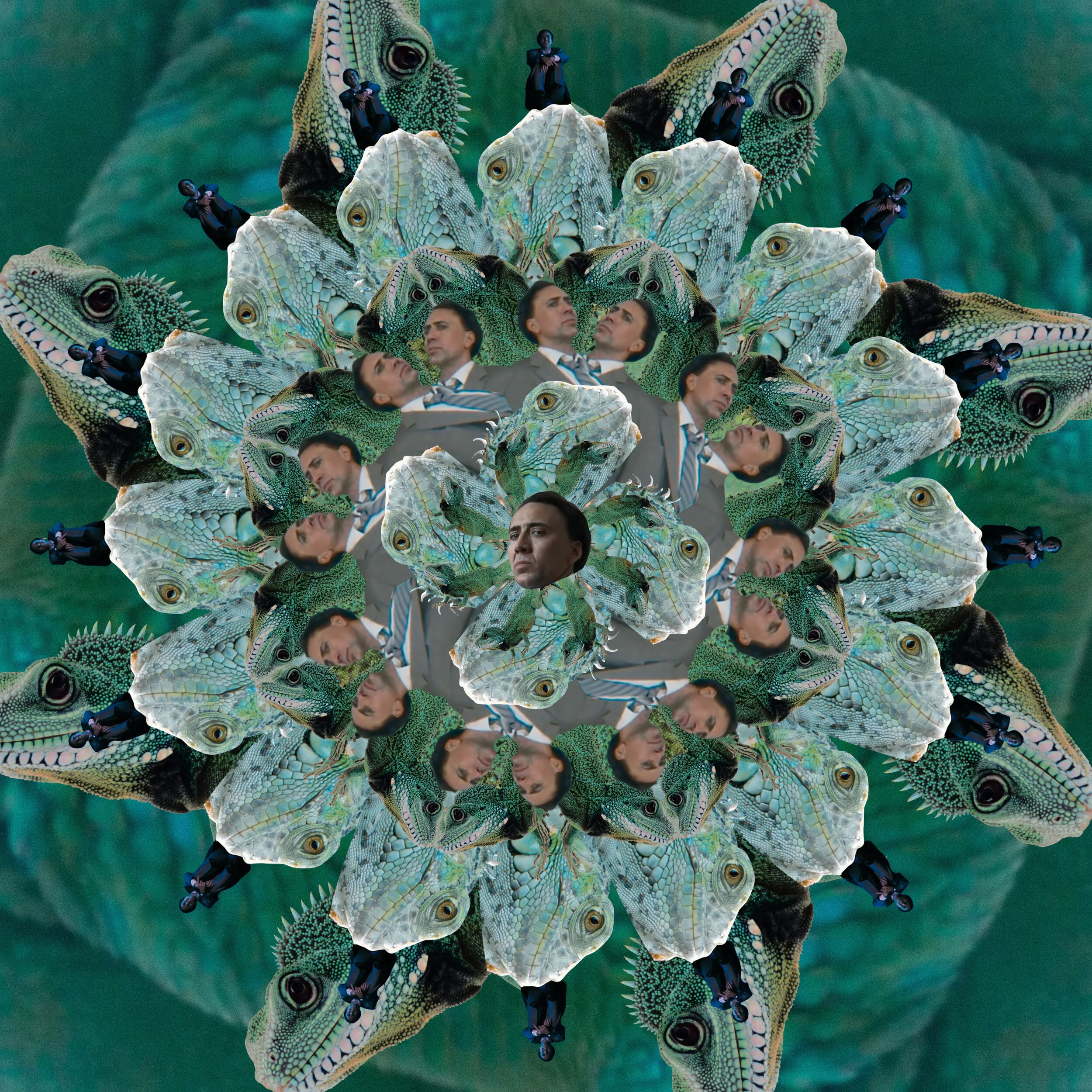 nicolas cage.jpg