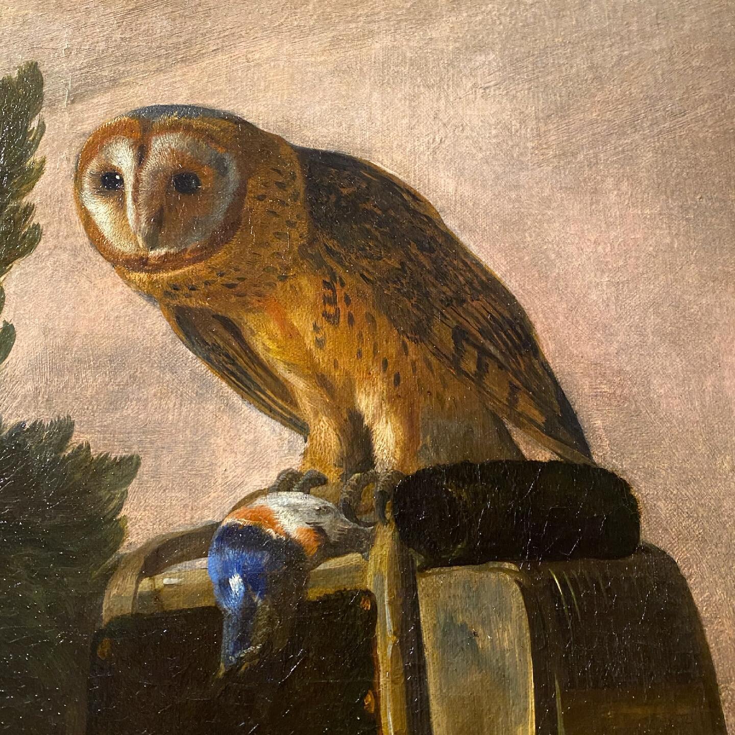 D&eacute;tails au Mus&eacute;e de Flandre &agrave; Cassel 🦉🐈💀