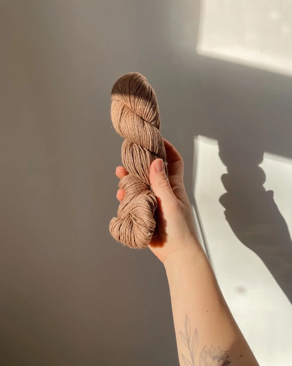 🐚