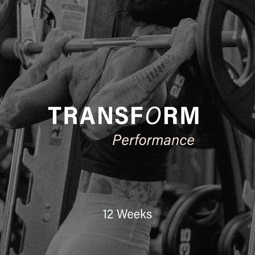 program-performance.jpg
