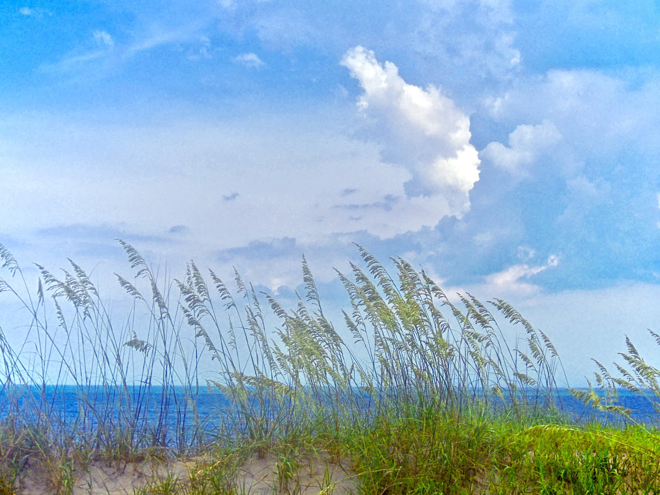 B53877DA-4E1B-4E45-8CB7-3B6EAB4AE09B_1_201_a.jpeg