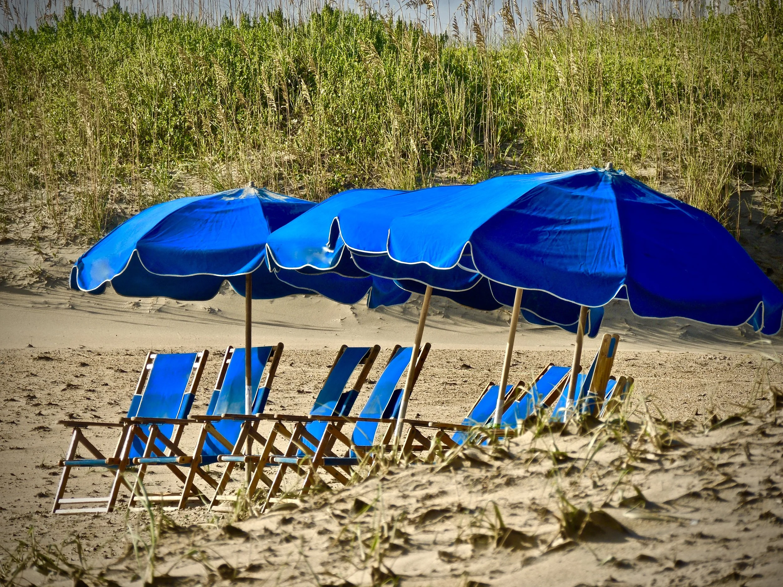 D836C95E-54ED-445C-9AEF-29B8AC4115DC_1_201_a.jpeg