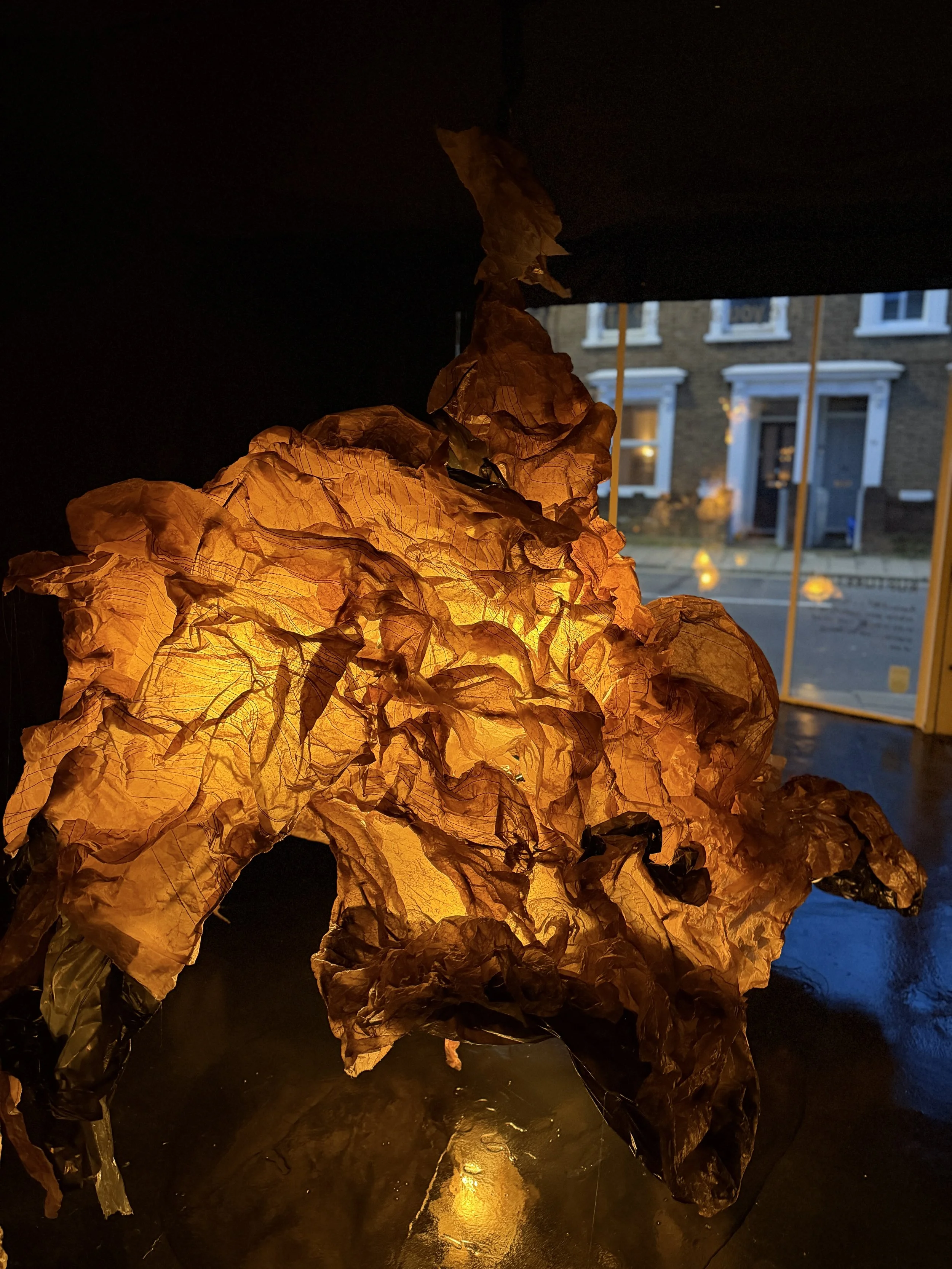 ‘Myth Eaters, The Dark Pasture’, Kate Howe 2026. Installation. Variable Dimensions.