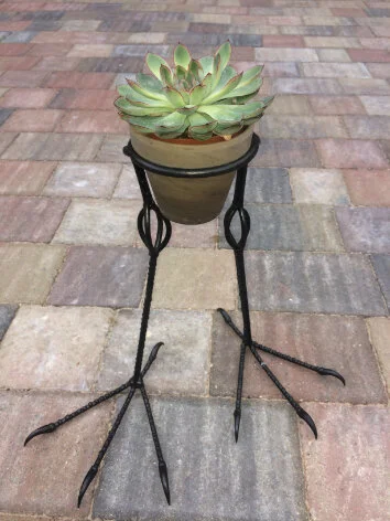 legs.jpg