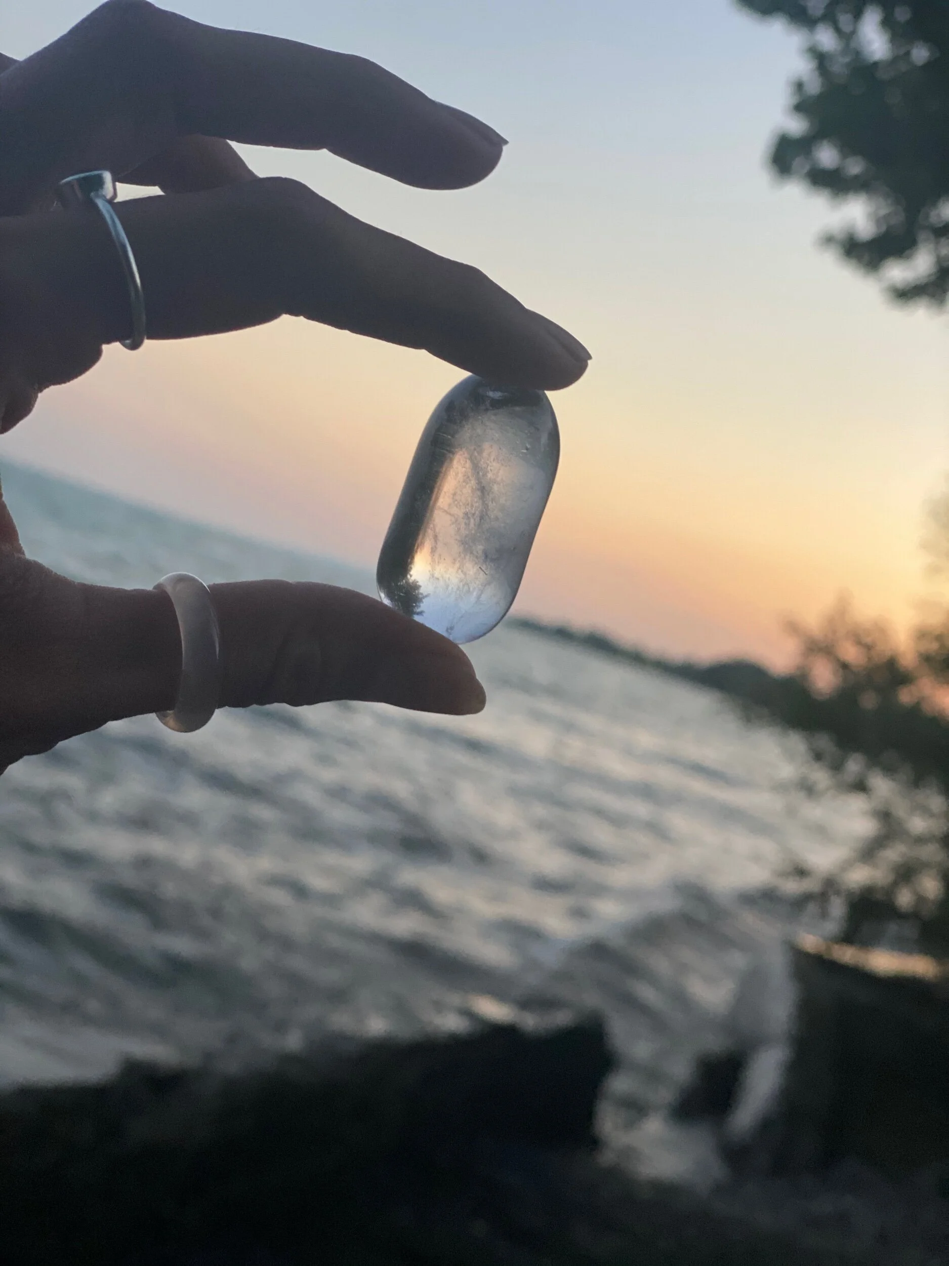 2263DDB1-17AB-41BC-9488-93DAF0881447